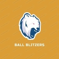 BALL BLITZERS