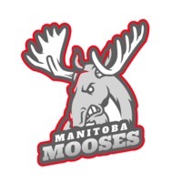 MANITOBA MOOSES