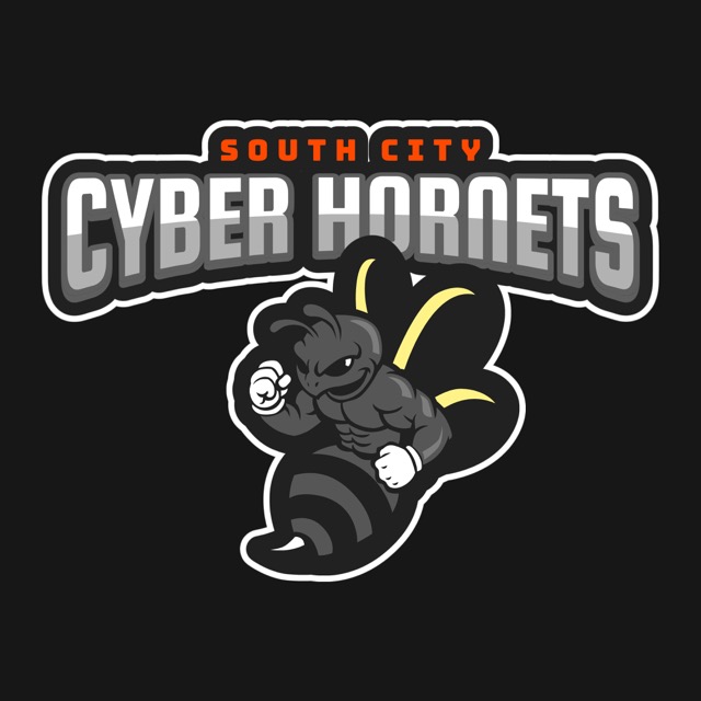 SOUTH CITY CYBER HORNETS