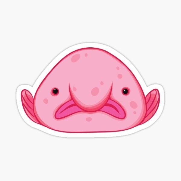 BOSTON BLOBFISH